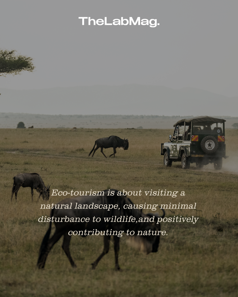 The image explains what eco-tourism is and how one can go on a safari the eco way
