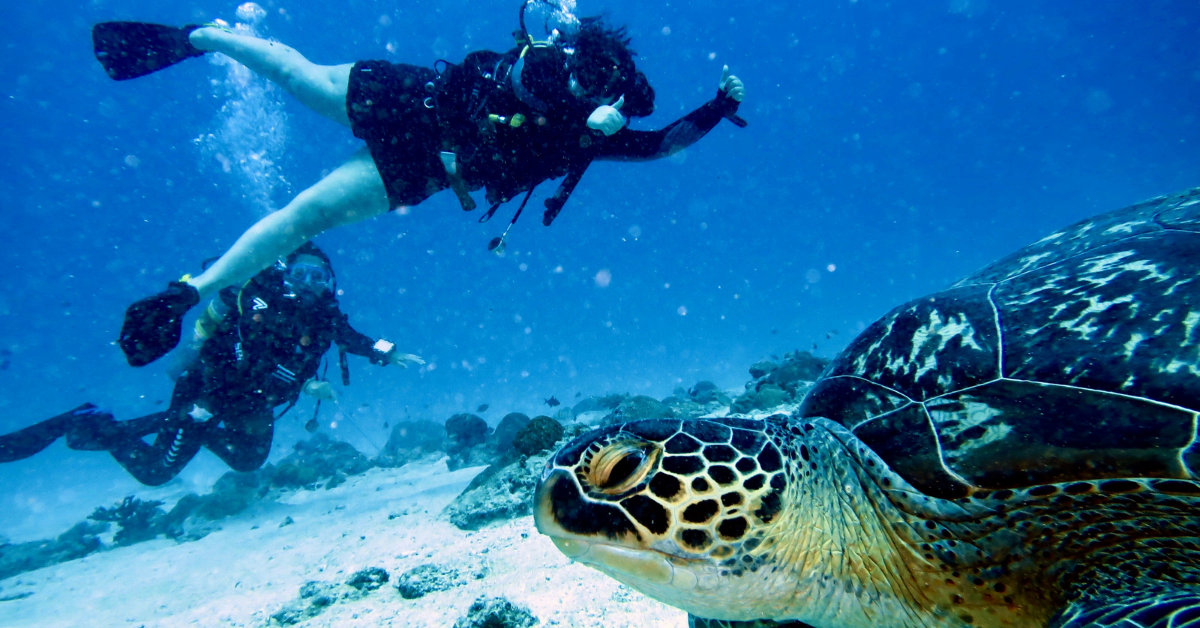 Scuba Diving Maldives